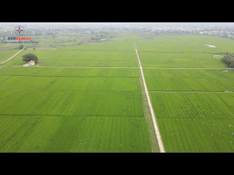 Video “Công ty Thủy điện Sông Tranh triển khai các biện pháp đảm bảo cấp nước mùa khô năm 2025”