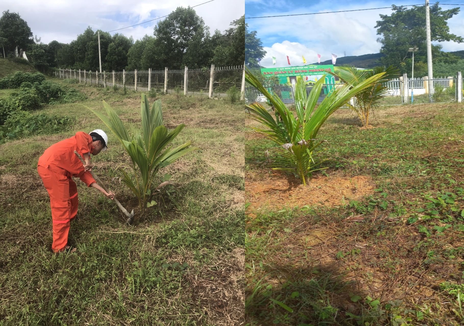 Hình 4 - Kíp trực cắt tỉa, tạo gốc cho cây xanh.jpg